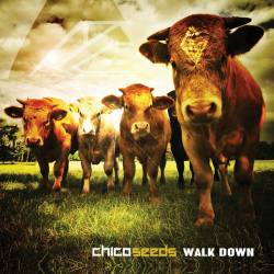 Chico Seeds : Walk Down